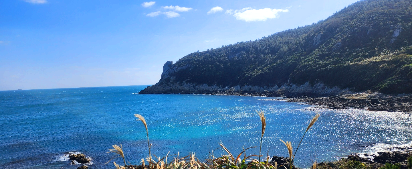 제주 여행 준비