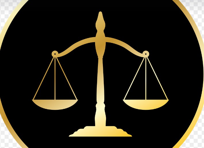 헌법재판소의 역할