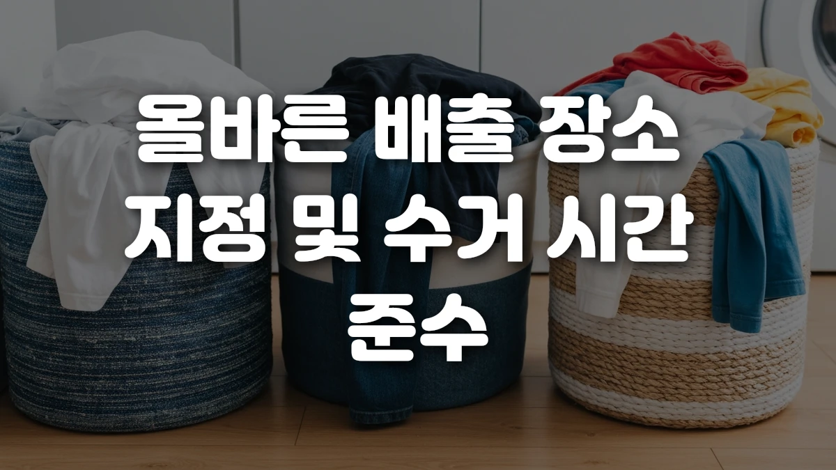 올바른 배출 장소 지정 및 수거 시간 준수