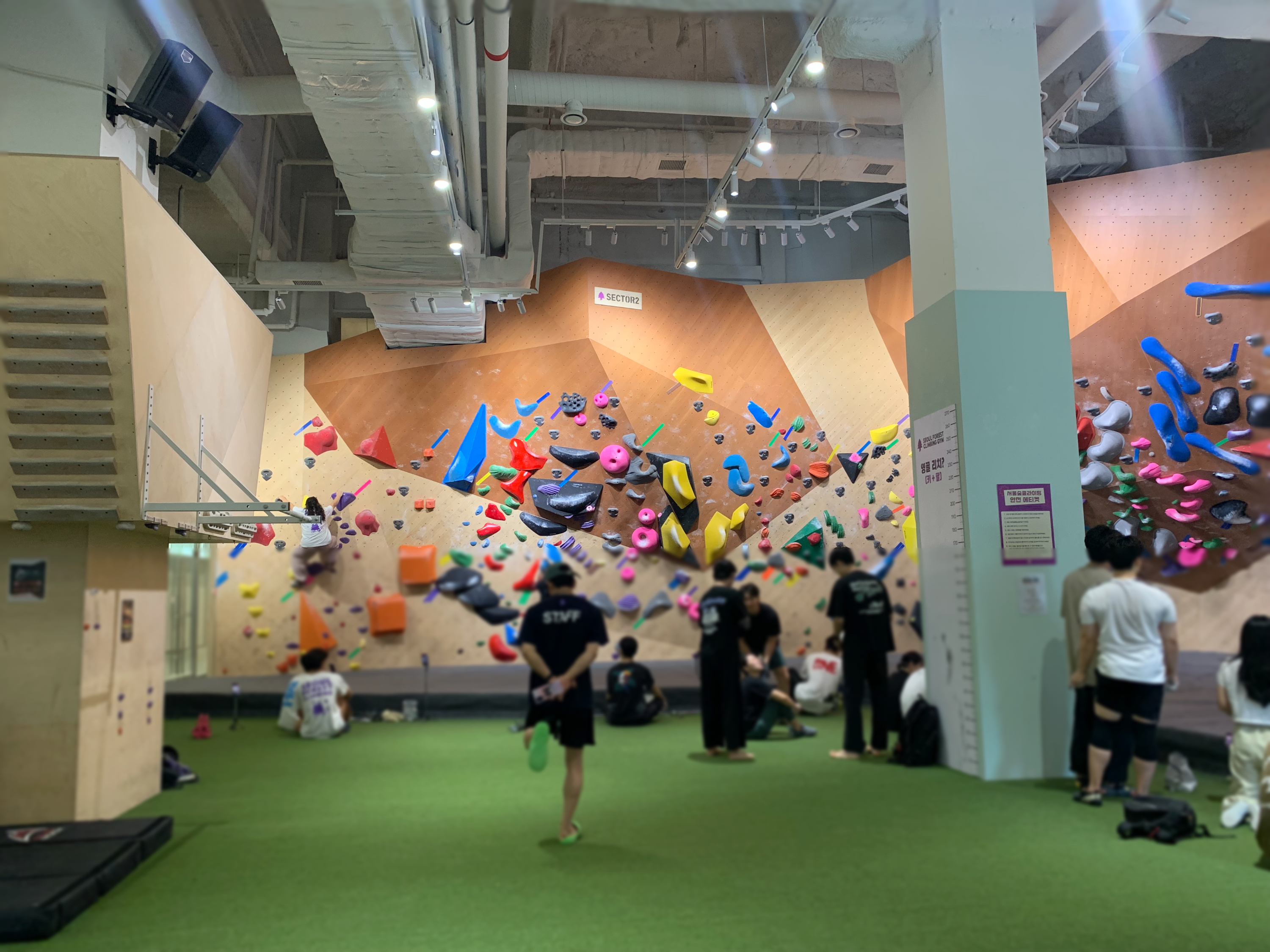 서울숲클라이밍