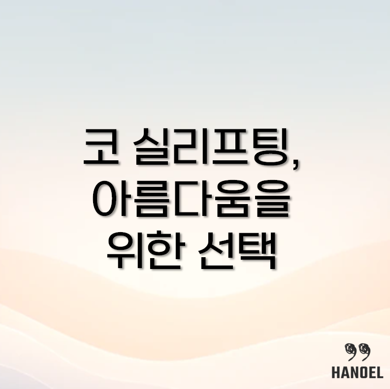 코 실리프팅