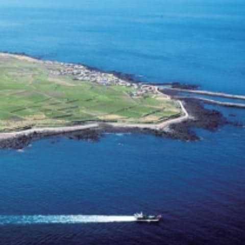 가파도 청보리 축제