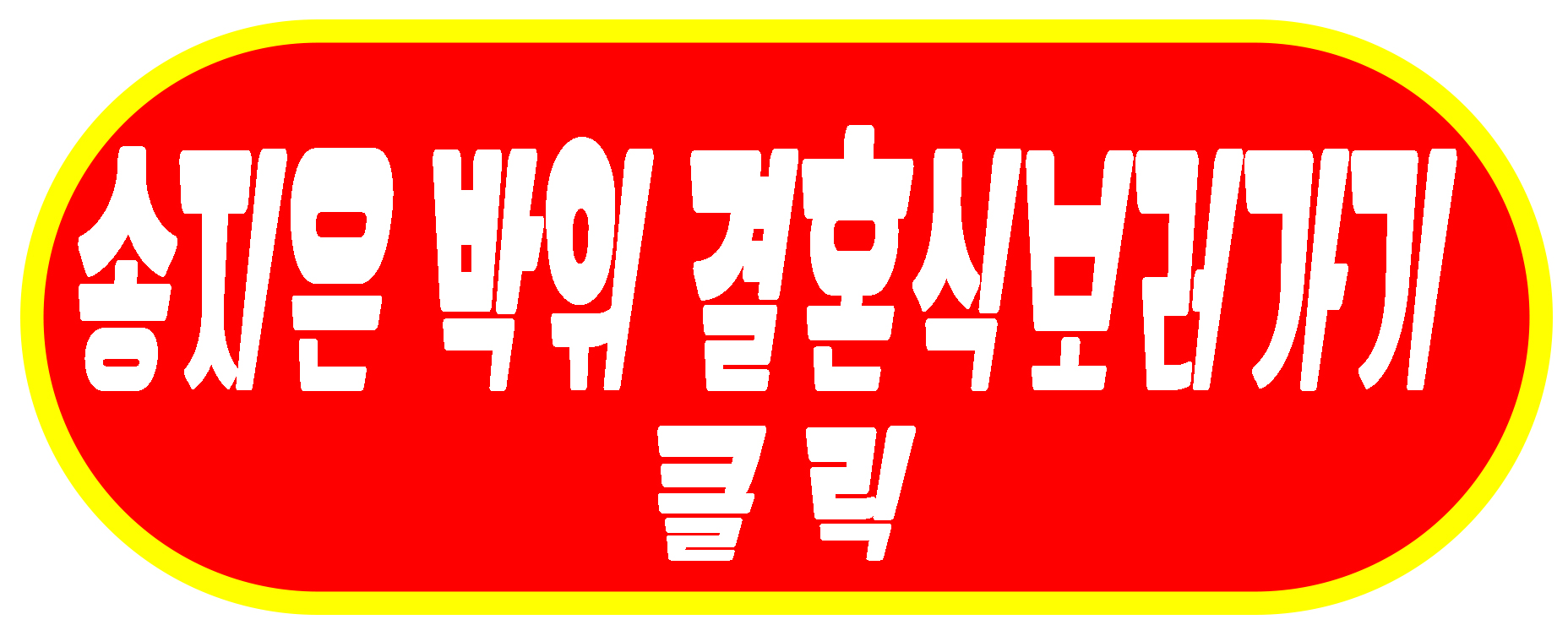 송지은 박위 결혼식 보러가기