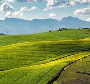 농업경영체 등록 조건과 방법