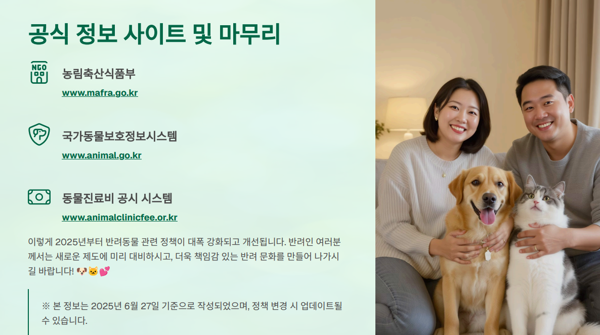 공식 사이트