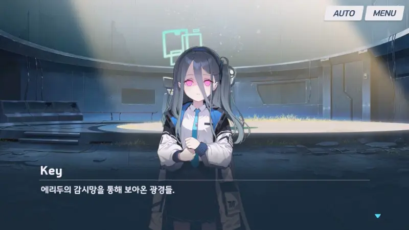 감시망에서 본 것들을 보여주는 key