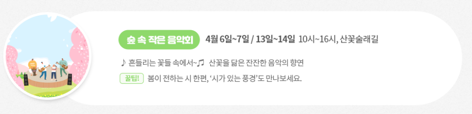 금산 보곡산골 산벚꽃 축제