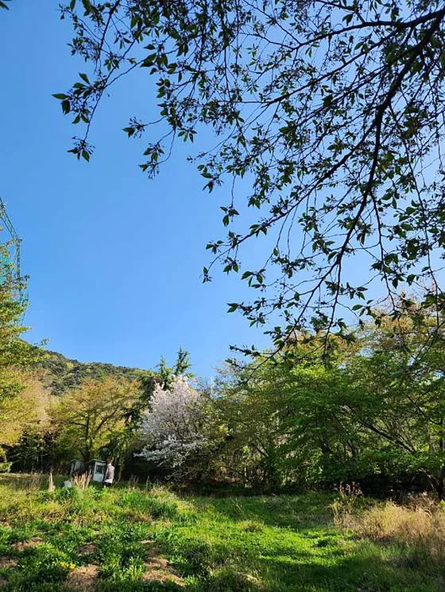 삼원골프연습장