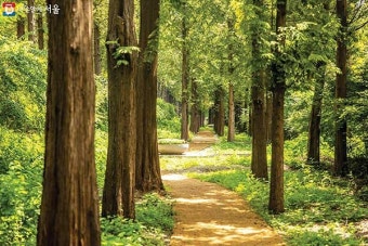 365 서울챌린지 1기 참여혜택&middot;신청방법 총정리