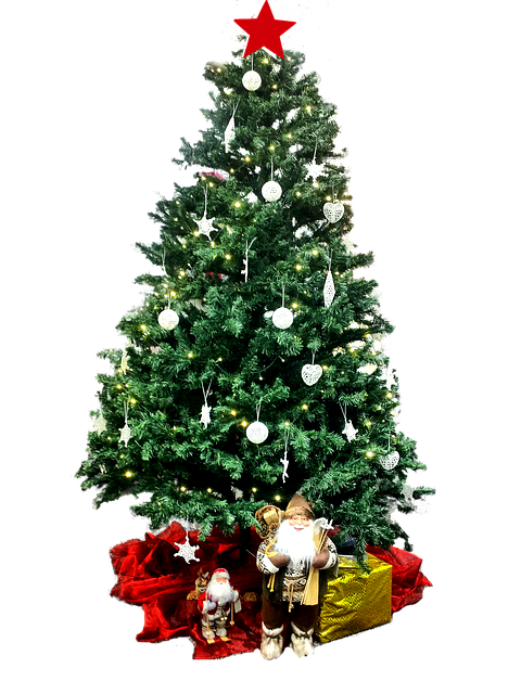 서울 크리스마스 트리 명소 총 정리