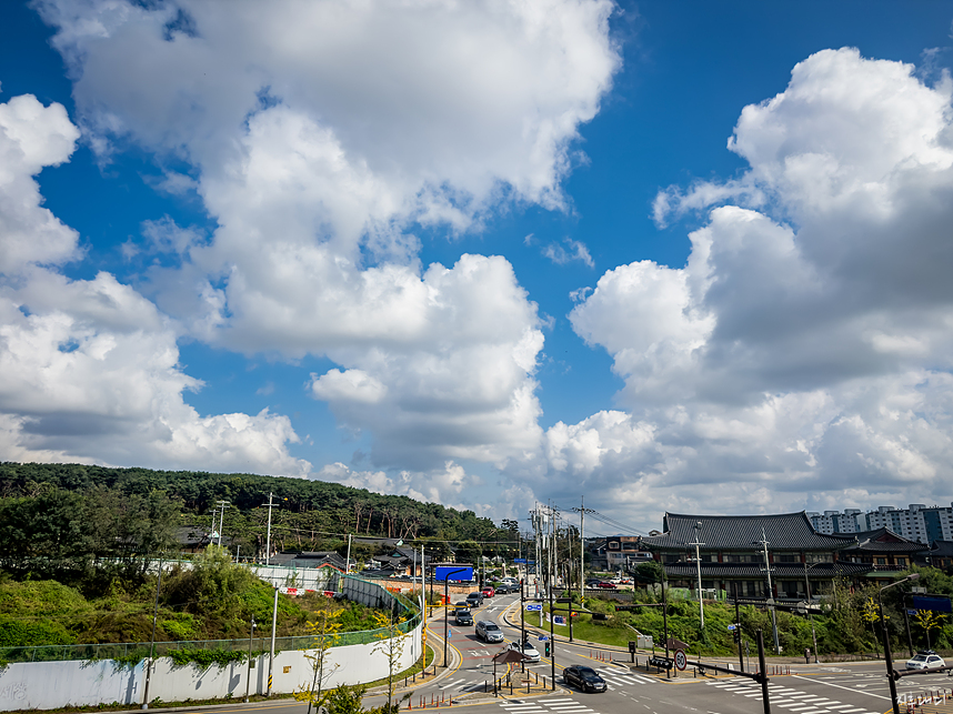 자연 그리고 어반