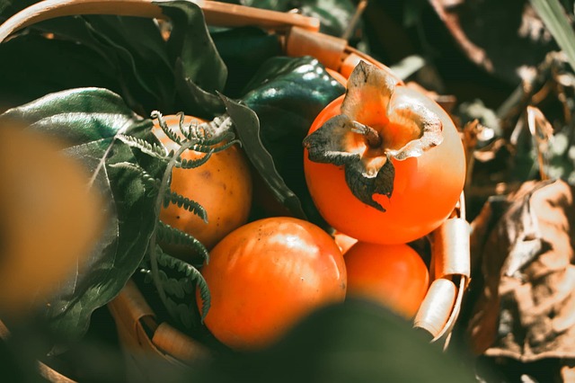 상주곶감축제 2025상주곶감축제
