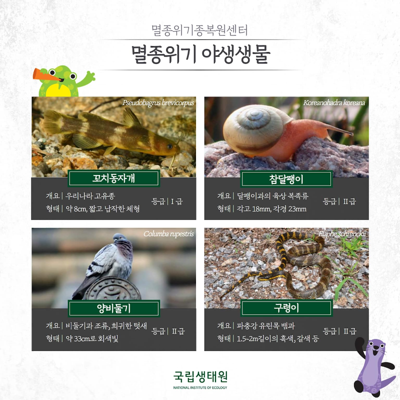 멸종위기 야생동물