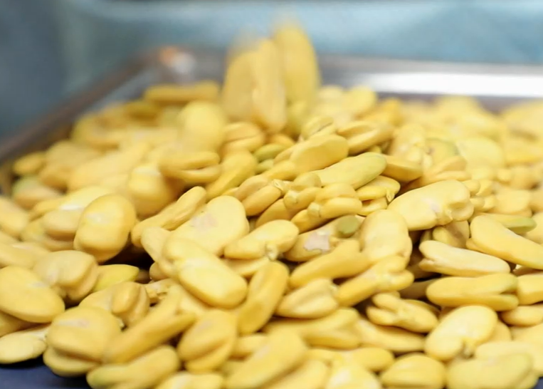 자이언트 파바빈 부작용