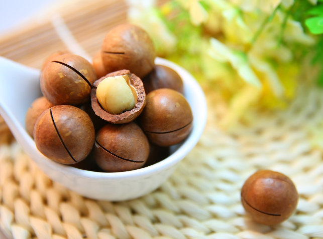 마카다미아-효능