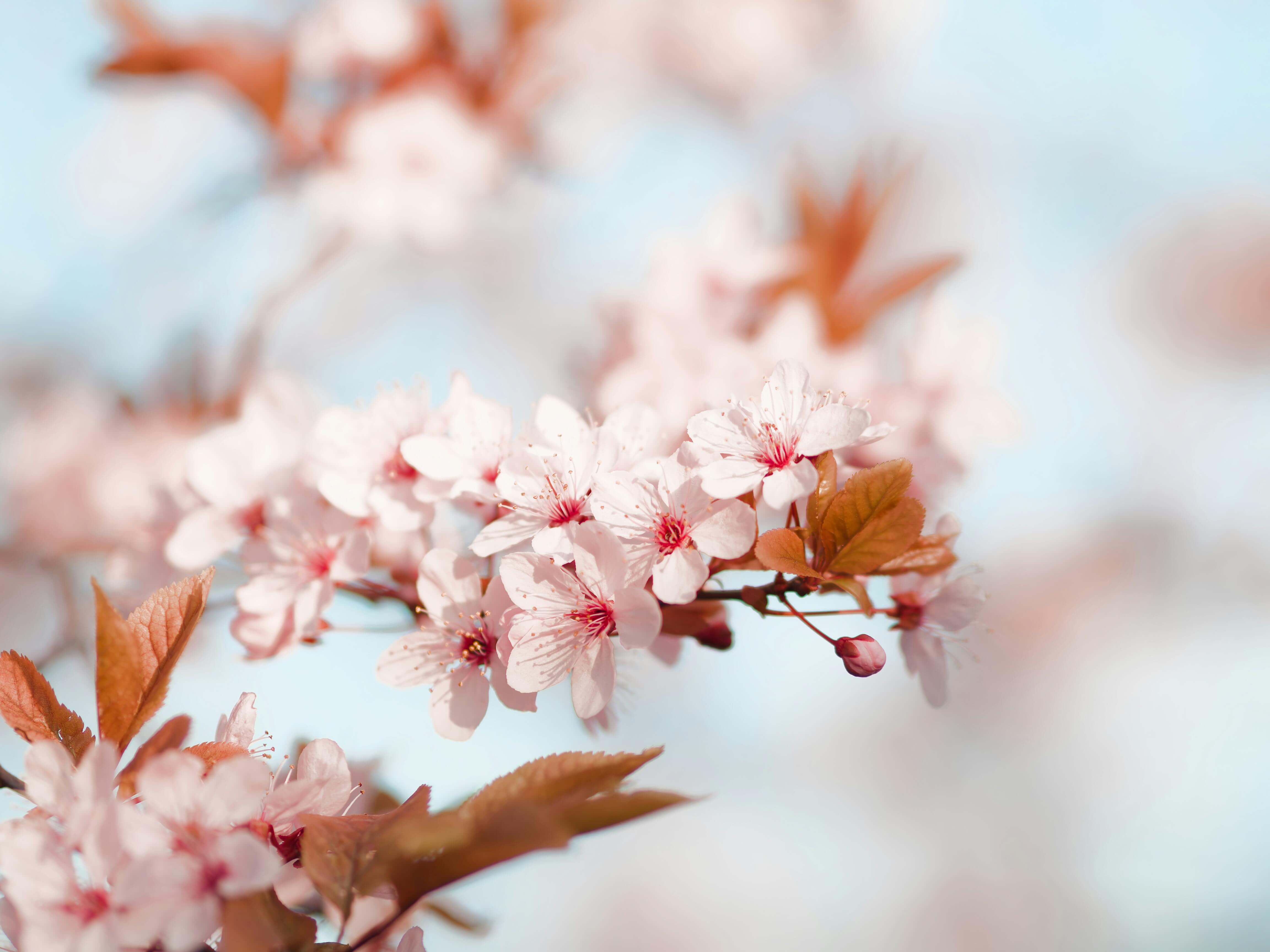 춘곤증 원인과 해결 방법&amp;#44; 봄철 피로가 계속되는 이유