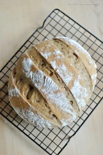 통밀빵 효능 칼로리 샌드위치 레시피_8