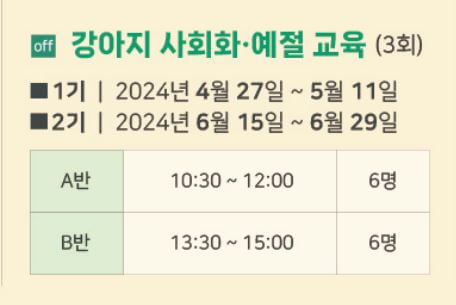 강아지 사회화예절교육(출처:서울 반려동물 시민학교)