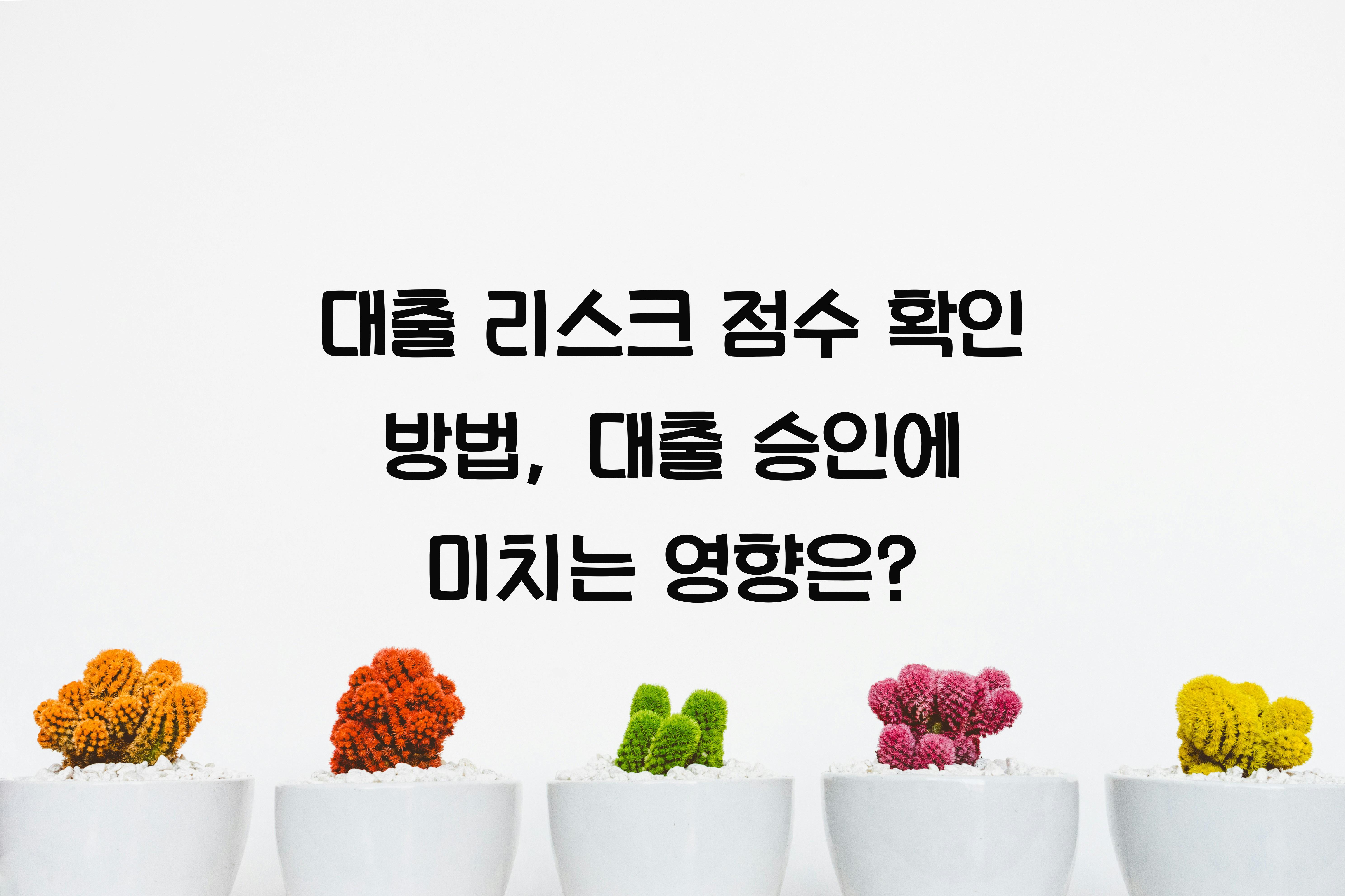 대출 리스크 점수 확인 방법