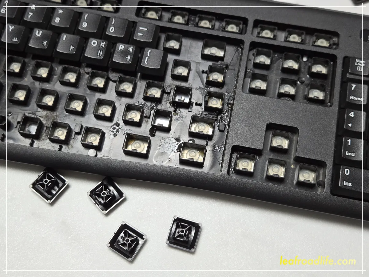 커피-쏟은-키보드-버튼-사진