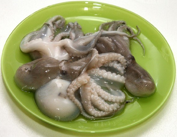 제철 쭈꾸미 효능