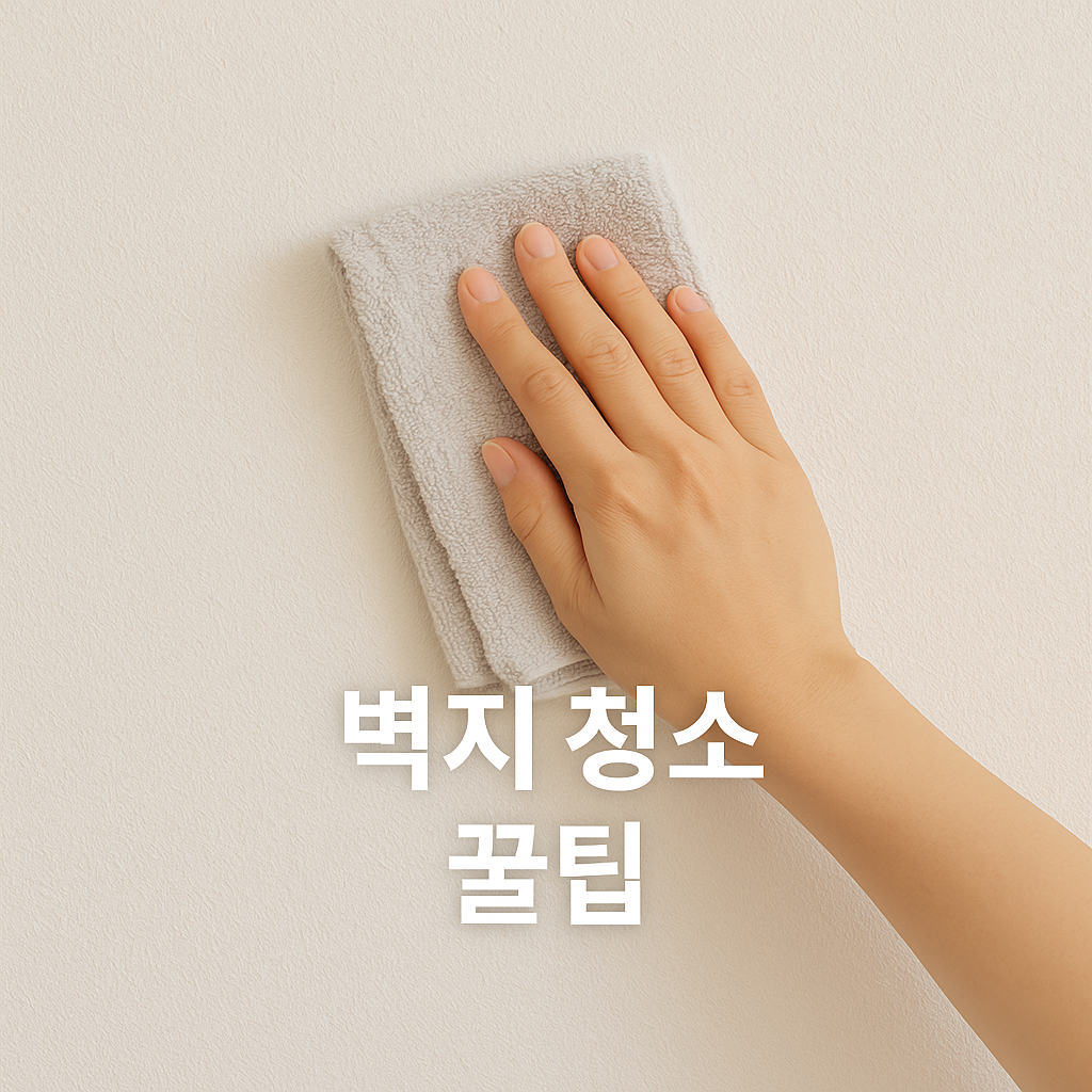 오래된 벽지도 새것처럼!🧽 벽지 깨끗하게 유지하는 생활 꿀팁