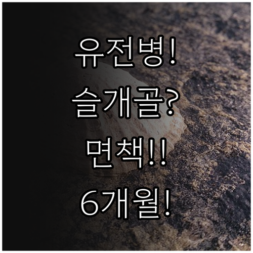 강아지 슬개골 유전 질환 보험, 면책..