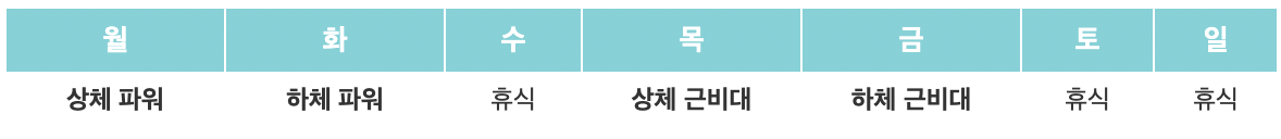 운동 루틴 요약