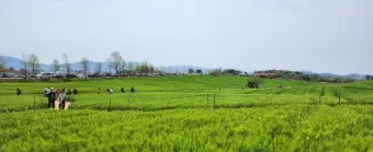 고창 맛집 베스트10 숨겨진 나만 아는 맛집_7