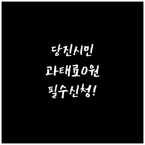 당진시 주정차 단속 문자 알림 서비스..