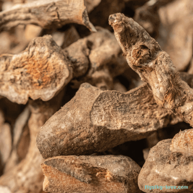 망개나무 뿌리 토복령