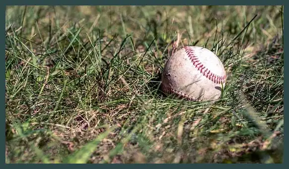 2024 프리미어12 결과 (한국 일본 대만 야구)