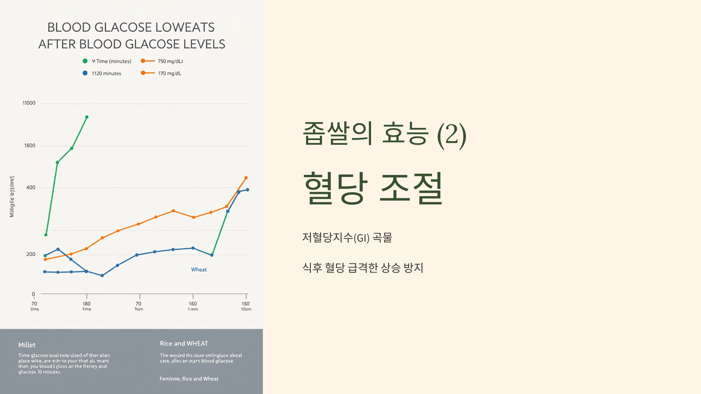 좁쌀 사진입니다.