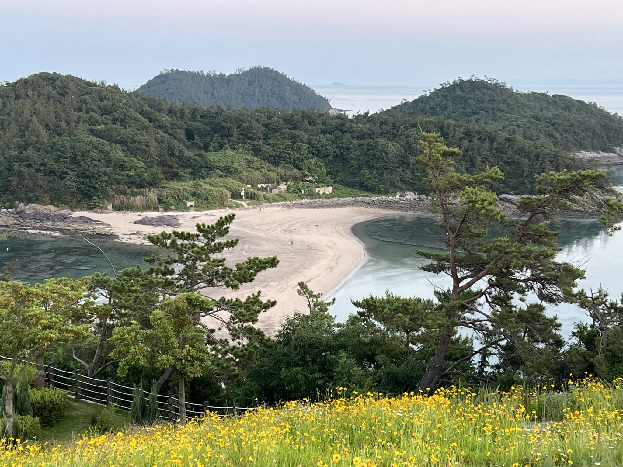 진도-진도쏠비치-산책