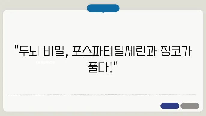 두뇌 건강을 위한 포스파티딜세린과 징코 효과
