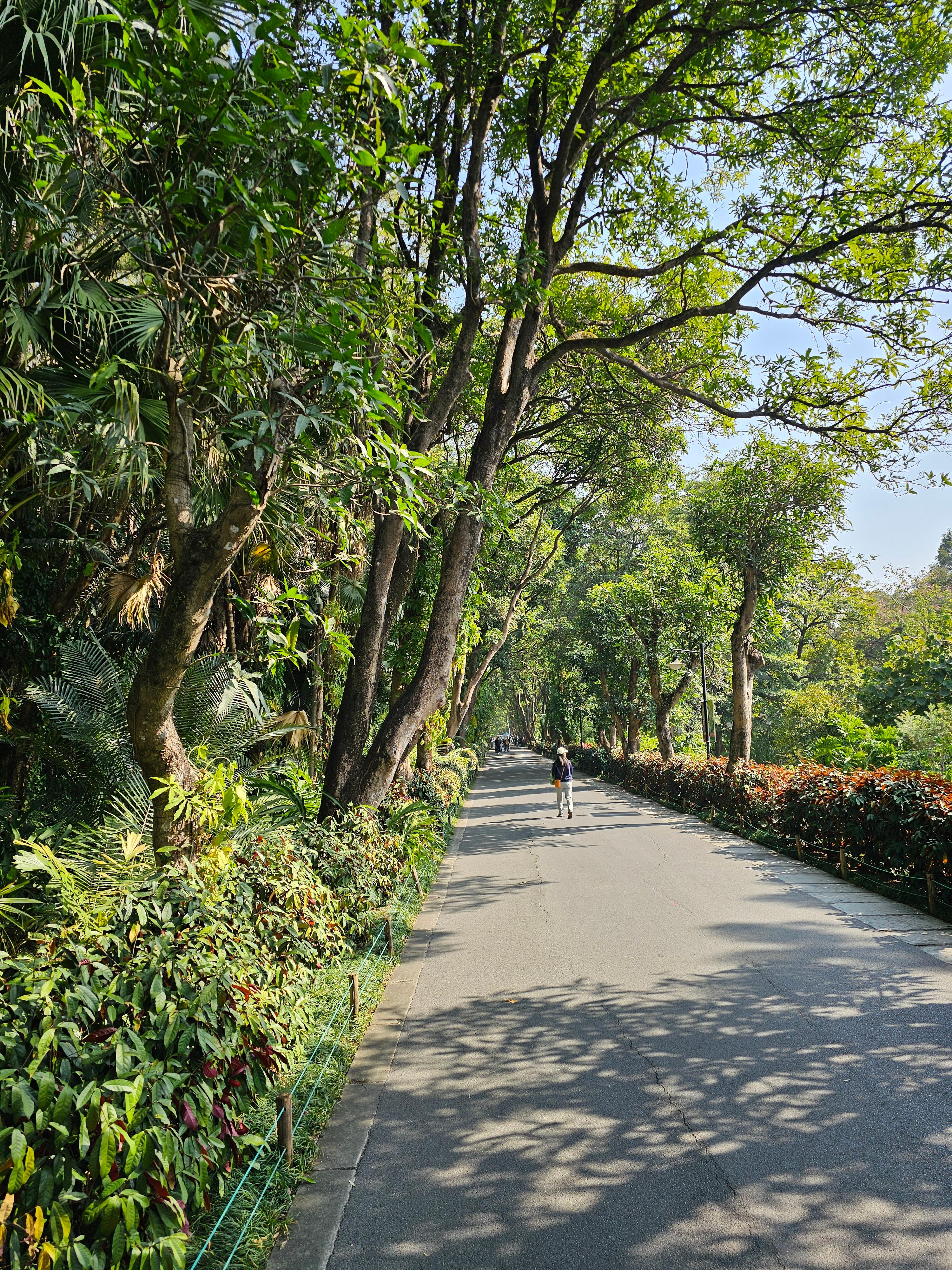 화남국가식물원 내 잔잔한 호수 카페
