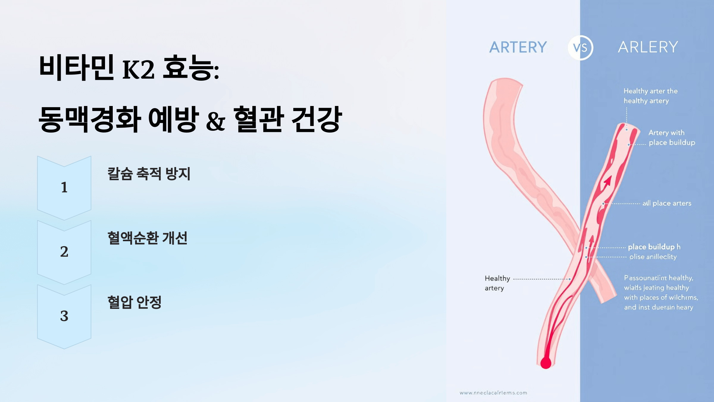 비타민k2와 관련된 사진입니다.