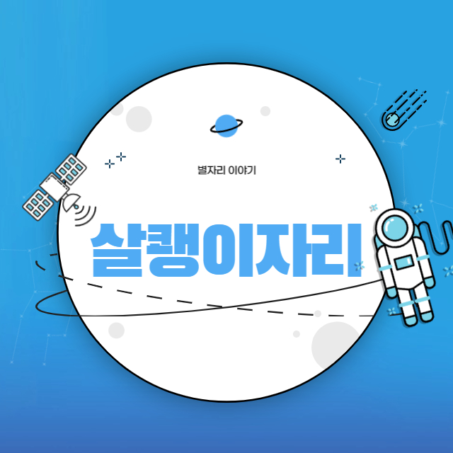 살쾡이자리