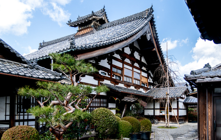 ์ผ๋ณธ ๊ตํ ์์ฝ์ธ ์ ์