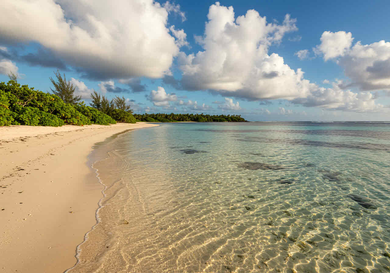 낙엽 밟는 소리에 담긴 쓸쓸함