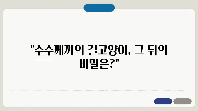 지나가다가 우연히 본 길고양이 에피소드