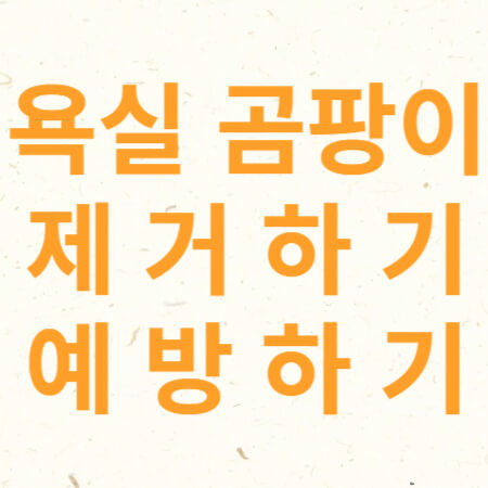 욕실 곰팡이 제거하기 예방하기