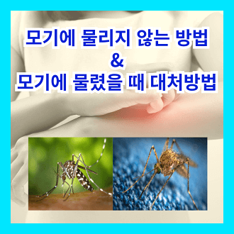 모기에 물리지 않는 방법 및 모기에 물렸을 때 대처 방법