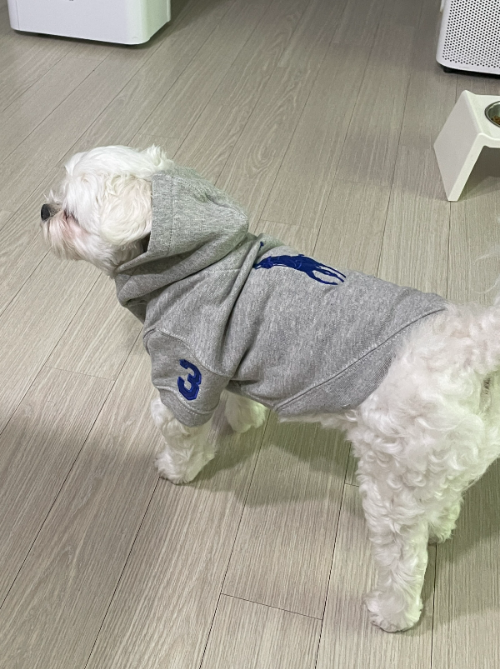 폴로 강아지 빅포니 후디