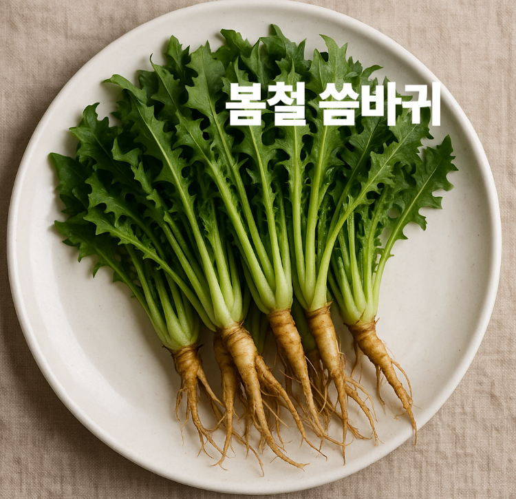 노화방지 변비완화 피로회복 미네랄풍부 봄철 씀바귀 효능 영양성분