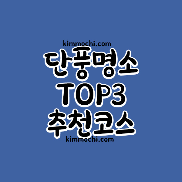 교토 단풍명소 탑3 추천코스