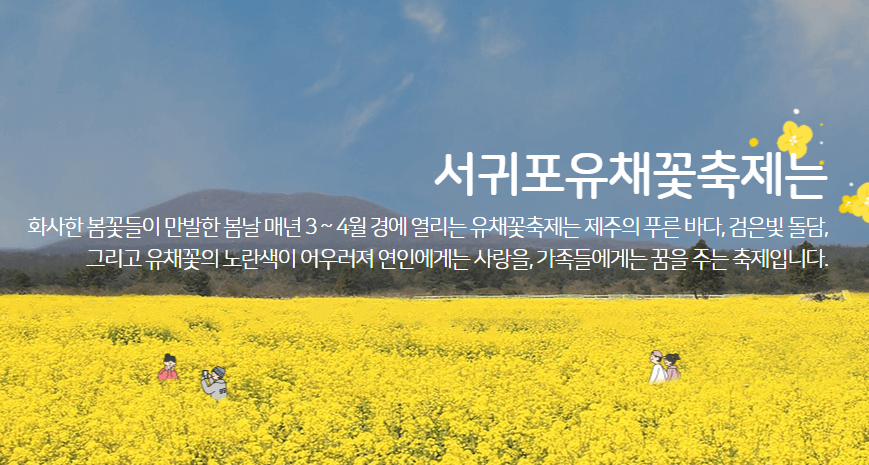 제주도 축제