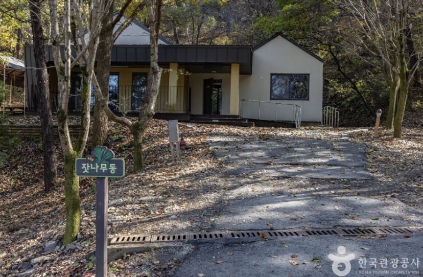 청주 가볼만한곳 베스트 10