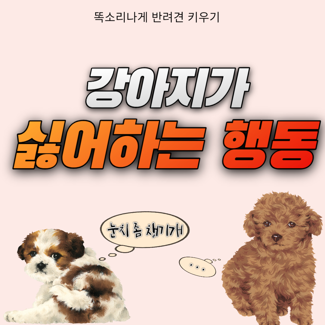 강아지가 싫어하는 행동