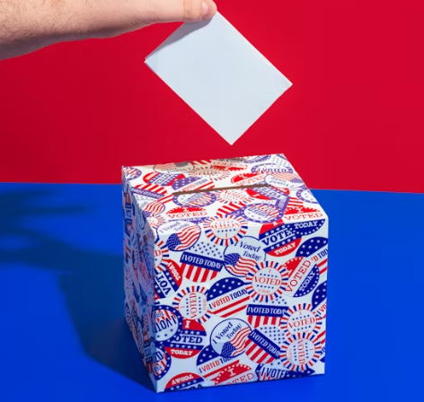 대통령 선거 사전투표 방법 절차 쉽게 정리